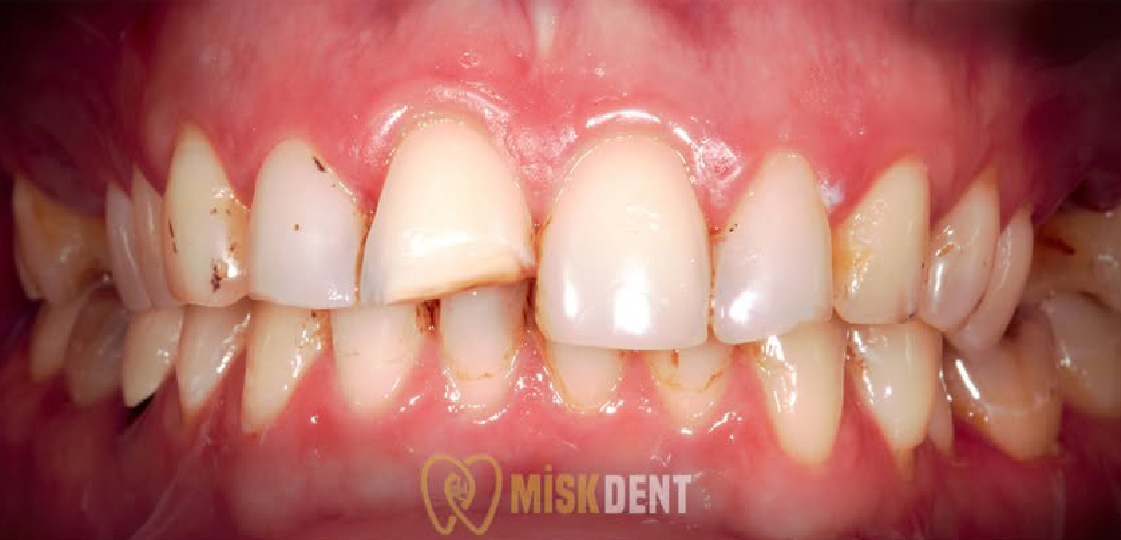 trustpilot-seeklogo-11