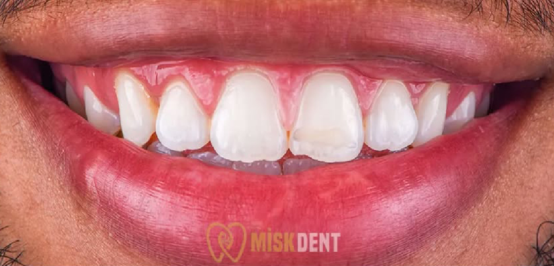 trustpilot-seeklogo-13