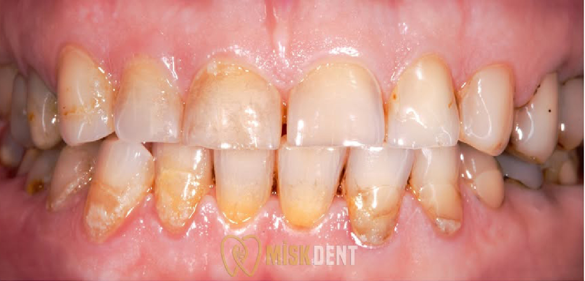 trustpilot-seeklogo-15